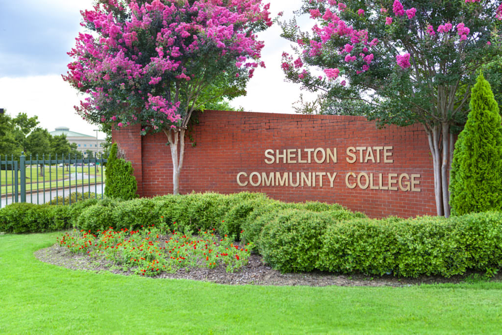 shelton 2